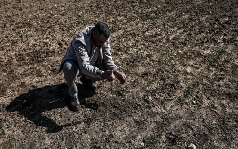 COP29 : Les défis du secteur agricole face au changement climatique et les solutions pour réduire les émissions de méthane