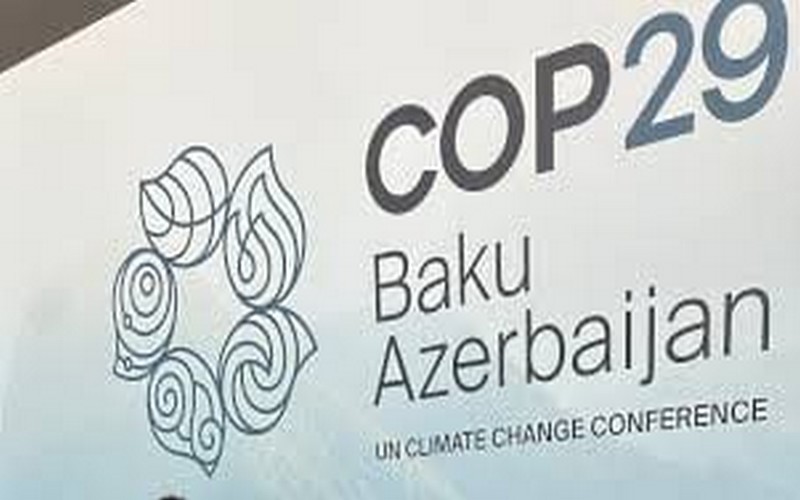 COP29 : Quel avenir pour les défenseurs de l’environnement en Afrique face à la crise climatique ?