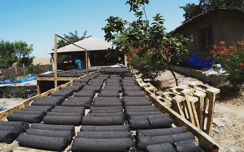 Charbon écologique au Mali : Une solution durable contre la déforestation et pour la protection des forêts