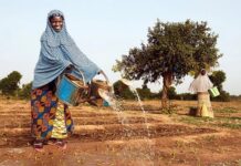 Financement de l’agriculture en Afrique subsaharienne : Le double défi des populations vulnérables pour la sécurité alimentaire et la compétitivité