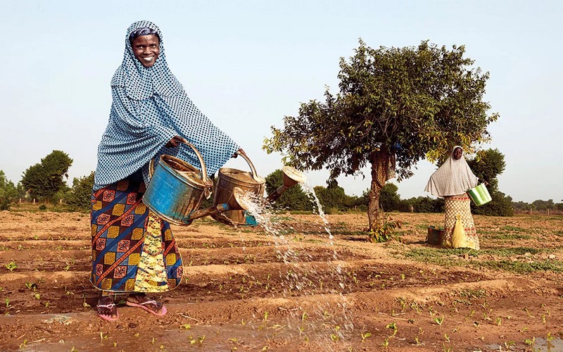 Financement de l’agriculture en Afrique subsaharienne : Le double défi des populations vulnérables pour la sécurité alimentaire et la compétitivité