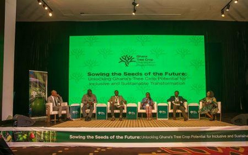 Ghana : Un programme de 227 millions $ pour soutenir l’arboriculture et diversifier les cultures de cacao, noix de cajou, noix de coco et hévéa