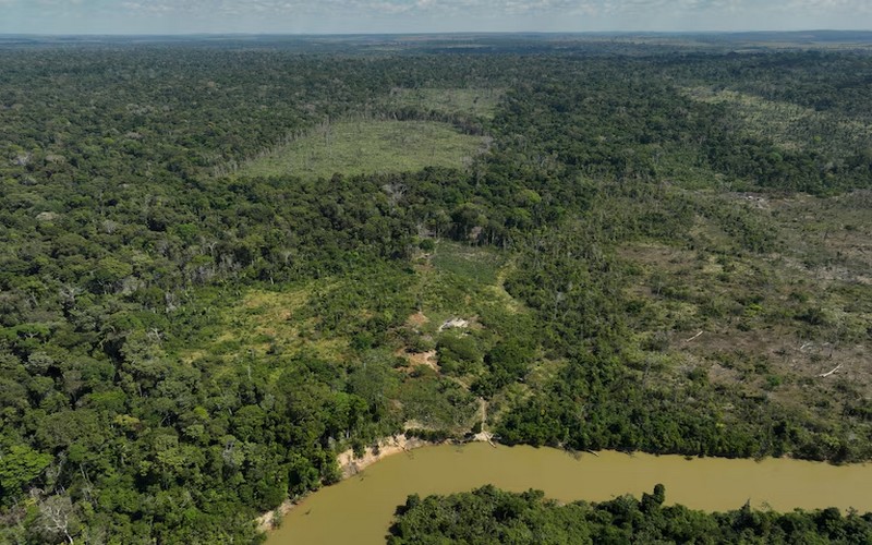 La déforestation de l’Amazonie brésilienne en forte baisse : Un succès pour le président Lula et une victoire pour le climat