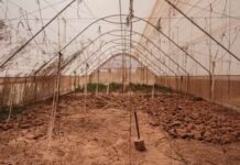 « La dégradation des terres se fait à une vitesse inédite en Afrique », se désole Ibrahim Thiaw