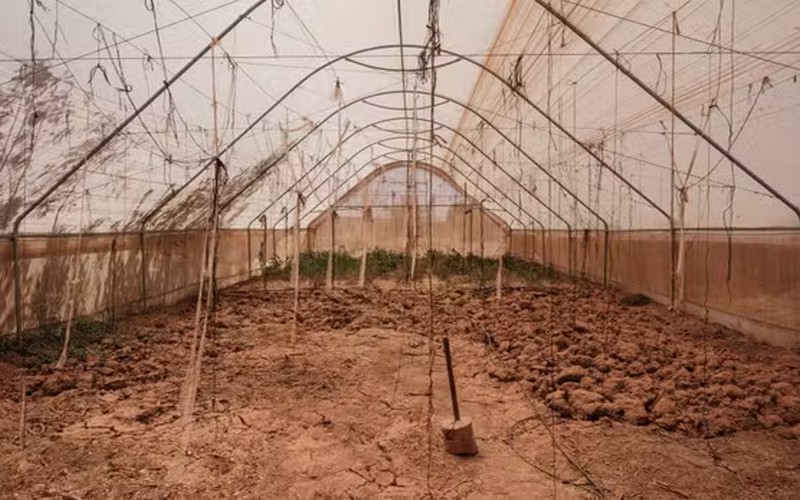 « La dégradation des terres se fait à une vitesse inédite en Afrique », se désole Ibrahim Thiaw