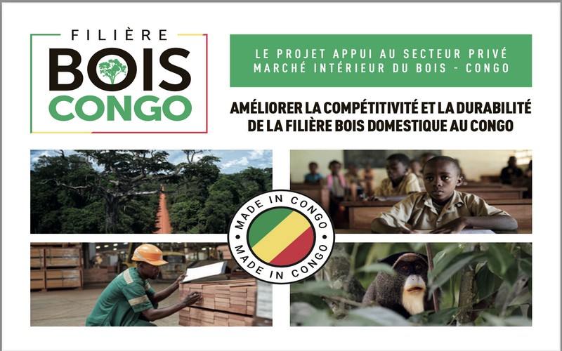 Lancement du projet ASP-MIB en République du Congo : soutien au secteur privé du marché intérieur du bois avec l’UE