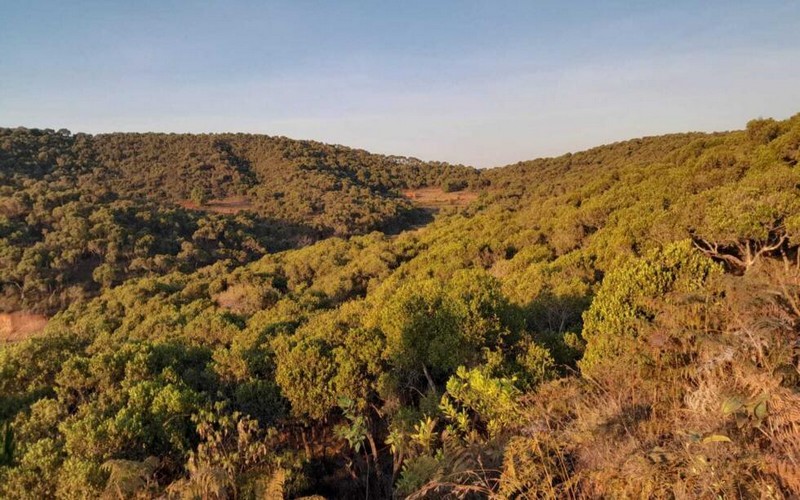 Le G-Zero, une alliance inédite de quatre pays neutres en carbone, réclame une reconnaissance officielle et un soutien accru