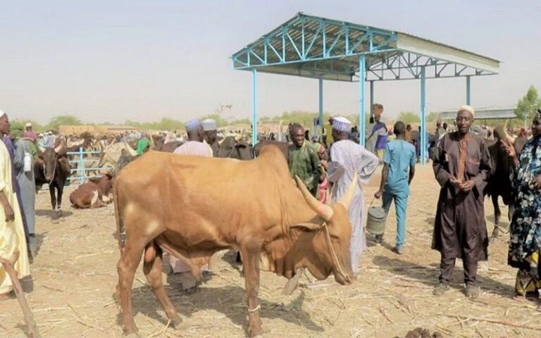 Forum de haut-niveau sur le pastoralisme au sahel et en Afrique de l’Ouest : défis, solutions et perspectives pour l&rsquo;avenir