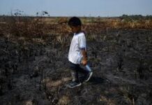 Plus de 420 000 enfants privés d’éducation et de nourriture dans une crise inédite en Amazonie à cause de la sécheresse
