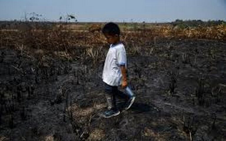 Plus de 420 000 enfants privés d’éducation et de nourriture dans une crise inédite en Amazonie à cause de la sécheresse