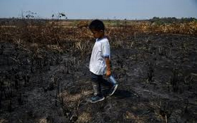 Plus de 420 000 enfants privés d’éducation et de nourriture dans une crise inédite en Amazonie à cause de la sécheresse