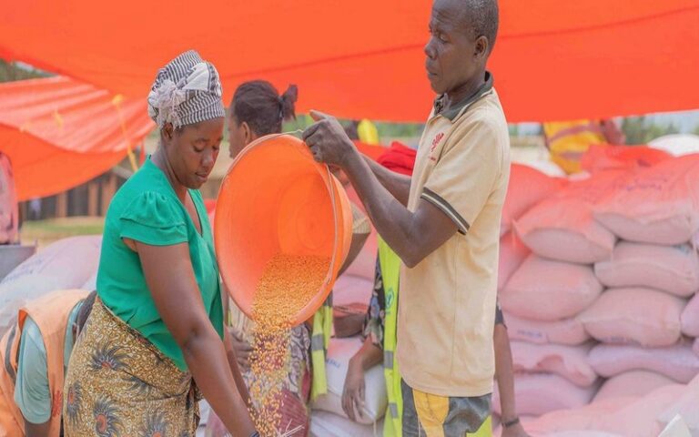 RDC : 25 millions de personnes touchées par l’insécurité alimentaire, 800 000 menacées par la faim en 3 mois, alerte l’ONU