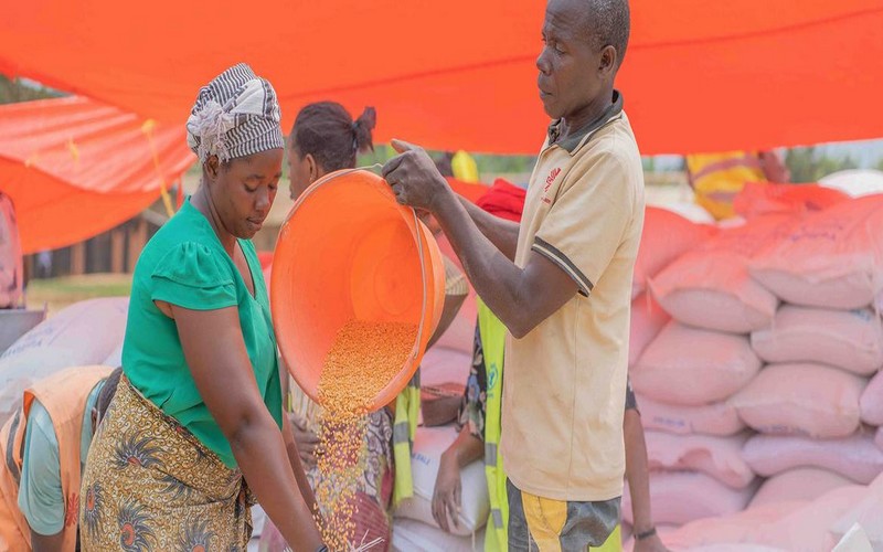 RDC : 25 millions de personnes touchées par l’insécurité alimentaire, 800 000 menacées par la faim en 3 mois, alerte l’ONU