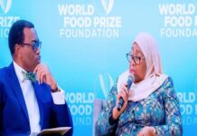 Record de production agricole en Tanzanie : Akinwumi Adesina appelle à investir dans l’agriculture pour l’autosuffisance alimentaire en Afrique
