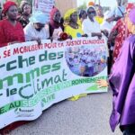 Revue de presse de la pré-COP29 : Les défis climatiques africains au cœur des négociations de Bakou