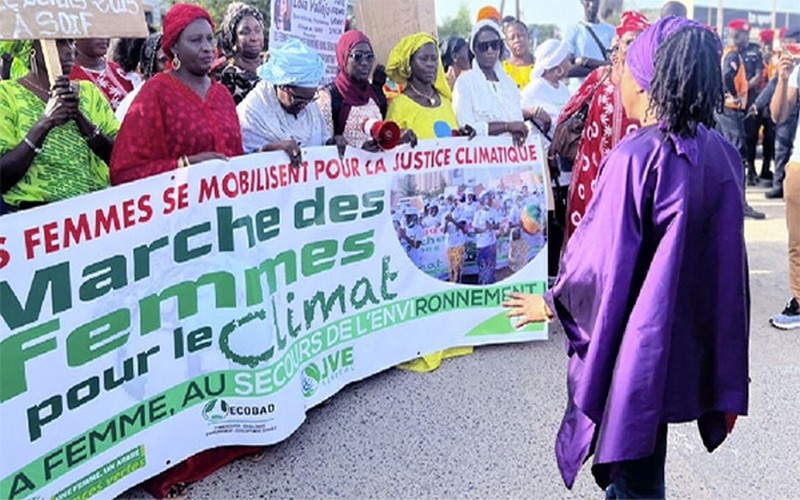 Revue de presse de la pré-COP29 : Les défis climatiques africains au cœur des négociations de Bakou