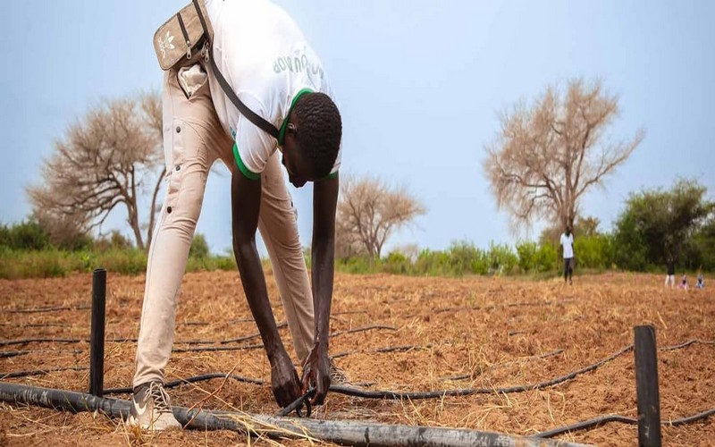 Sénégal : La BAD alloue 74,5 millions d’euros au soutien à l’entrepreneuriat des femmes et des jeunes