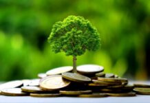 Prêts verts : Quand la finance sert de façade aux pollueurs