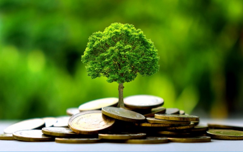 Transition énergétique en Afrique de l’Ouest : Les solutions durables du WASCAL face aux défis du changement climatique