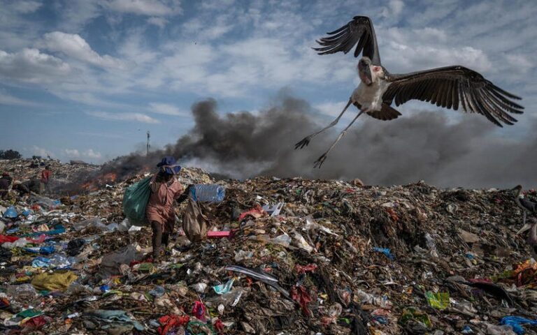 Tous les regards se tournent vers Busan : les dirigeants mondiaux parviendront-ils à conclure un ambitieux traité global sur les plastiques ?