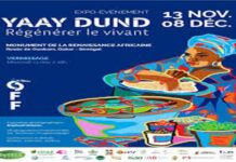 Sénégal : Vernissage de l’expo-événement DyTAES « YAAY DUND, Régénérer le vivant »