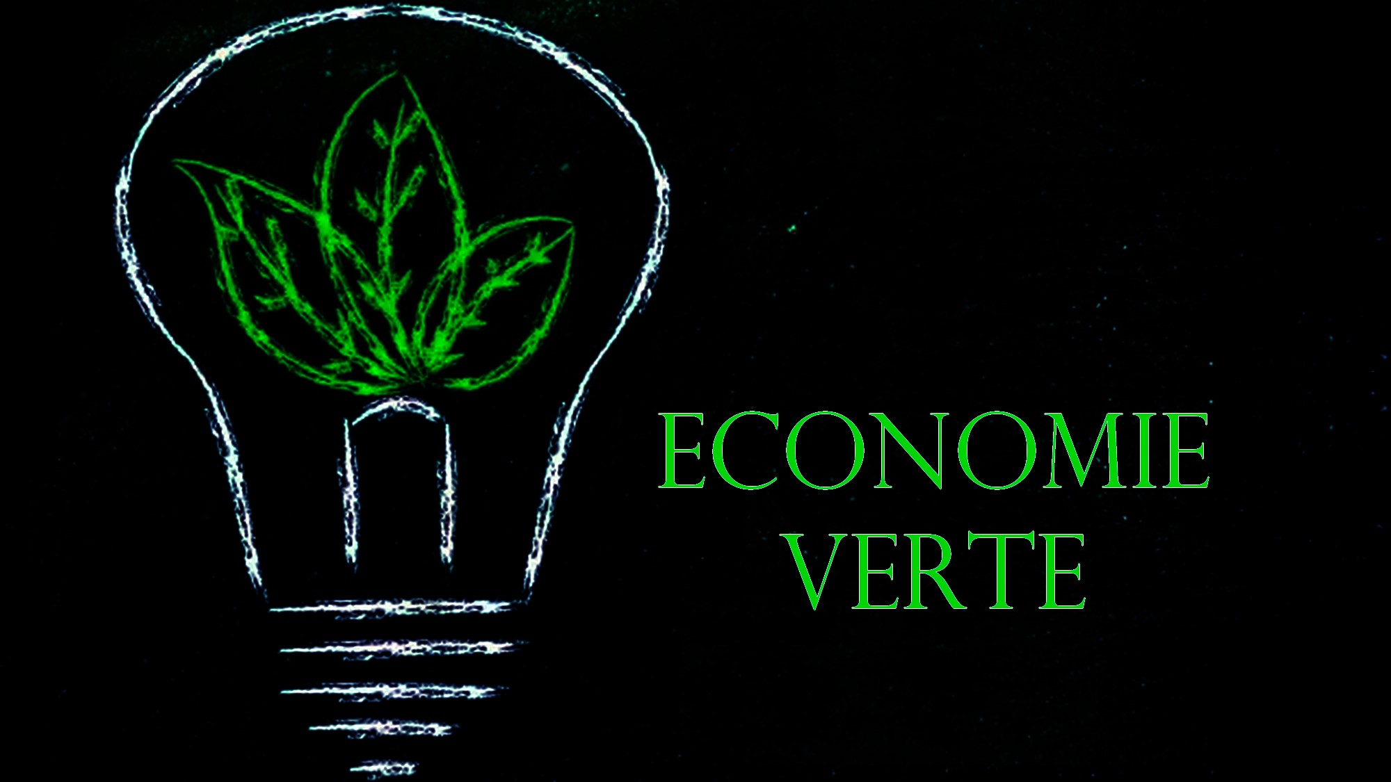 États Généraux de l’Économie Verte 2024 : La décarbonisation, un défi mondial (Communiqué de presse)