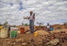 65% des terres arables en Afrique dégradées : Les enjeux de la COP16 pour restaurer les sols en Afrique et combattre la désertification