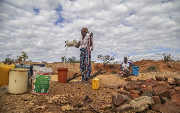 65% des terres arables en Afrique dégradées : Les enjeux de la COP16 pour restaurer les sols en Afrique et combattre la désertification