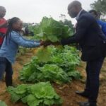 Gestion durable des sols au Gabon : L&rsquo;avenir de l&rsquo;agriculture maraîchère à Franceville et Moanda