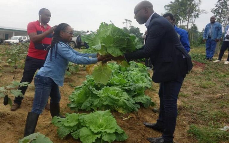 Gestion durable des sols au Gabon : L’avenir de l’agriculture maraîchère à Franceville et Moanda