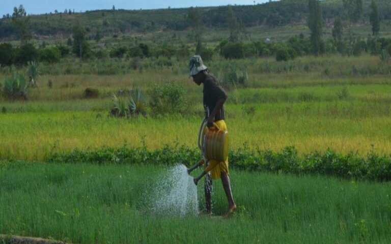 Agroécologie à Madagascar : Défis et opportunités pour la transition agroécologique des exploitations agricoles familiales