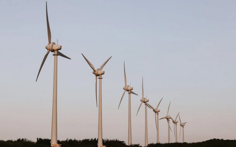 Algérie : Lancement d’un projet ambitieux d’énergie éolienne de 1 000 mégawatts pour accélérer la transition énergétique d’ici à 2035