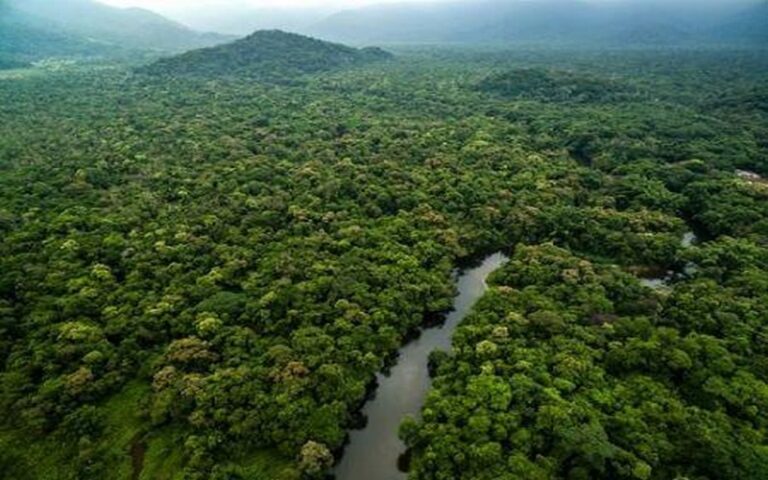 L’OIF accélère les innovations environnementales pour sauver le bassin du Congo