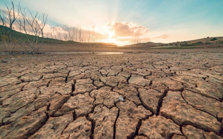 Bilan 2024 – de Bakou à Belém : Progrès et défis dans la lutte contre le changement climatique