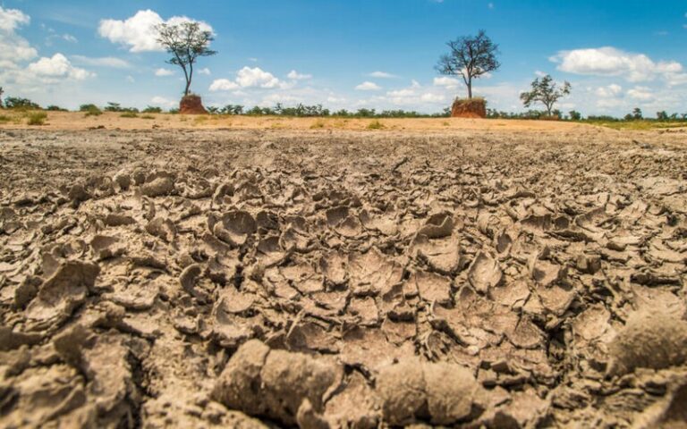 COP16 à Riyad : La Désertification mal nommée, un problème global plus vaste qu’il n’y paraît