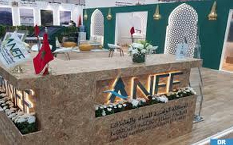 COP16 à Riyad : Le pavillon du Maroc met en valeur les succès du royaume dans la lutte contre la désertification et la préservation des écosystèmes