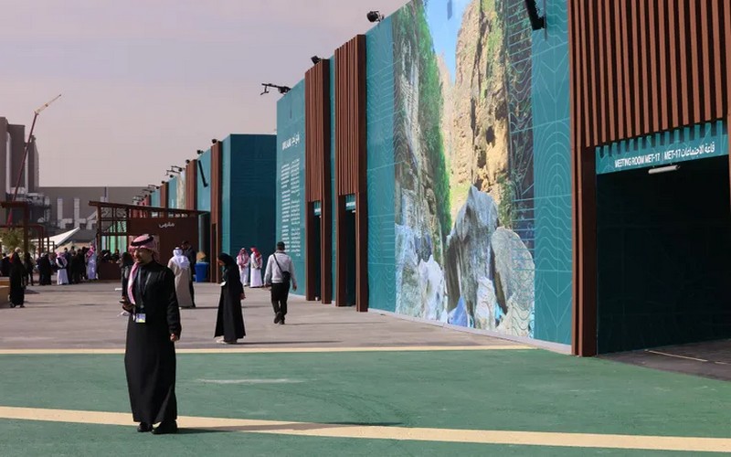 COP16 contre la désertification : Arabie saoudite, entre ambitions écologiques et contradictions environnementales