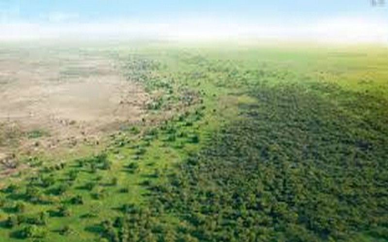 COP16 de Riad : La Turquie s’engage à soutenir l’Agence de la Grande Muraille Verte dans la lutte contre la désertification