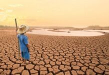 COP16 sur la désertification : l’Afrique face à la menace grandissante des sécheresses