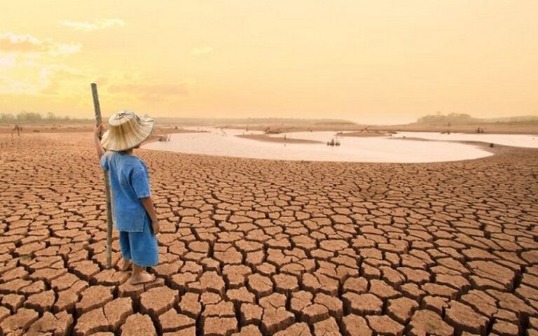 COP16 sur la désertification : l’Afrique face à la menace grandissante des sécheresses