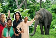 Ces cinq activistes environnementaux distingués en 2024 par les Nations Unies