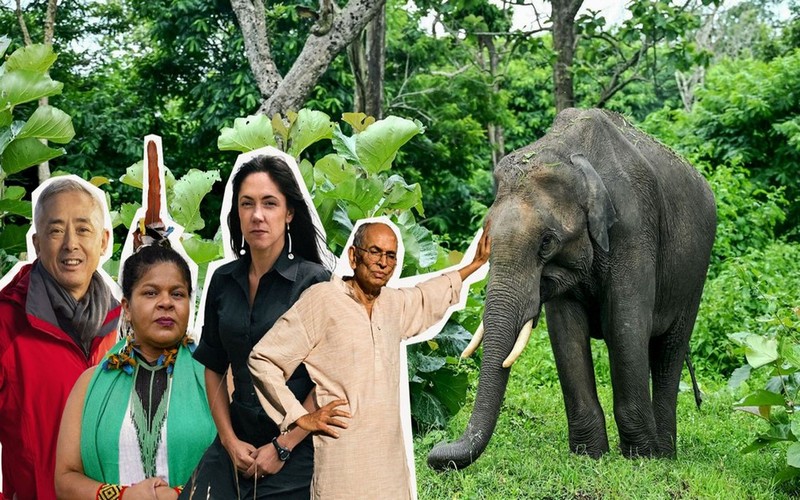 Ces cinq activistes environnementaux distingués en 2024 par les Nations Unies