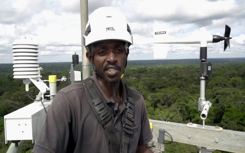 Congoflux : Une nouvelle tour scientifique à Yangambi pour étudier les forêts du bassin du Congo et leur rôle face au changement climatique