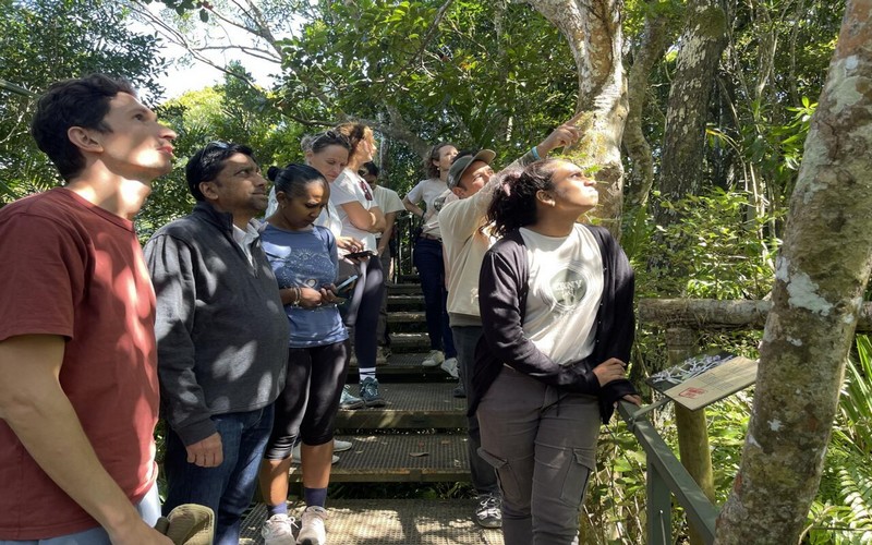 Ebony Forest à Maurice : Restauration des derniers ébéniers et voyage dans la forêt endémique