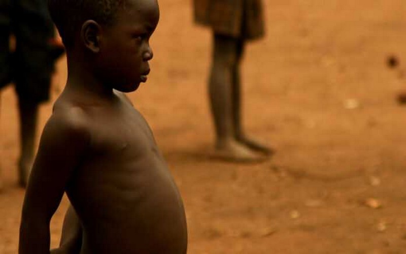 Famine en Afrique : Le PAM lance un appel urgent face à l’aggravation de la malnutrition en Afrique australe et en RDC