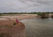 Gestion des ressources en eau au Sénégal : Lancement d’un réseau des maires des Niayes à Thiès pour la mise en œuvre de la GIRE