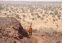 Grande Muraille Verte : Pourquoi son échec révèle des blocages politiques et financiers et comment y remédier