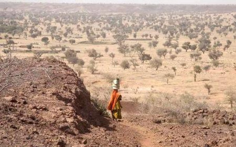 Grande Muraille Verte : Pourquoi son échec révèle des blocages politiques et financiers et comment y remédier