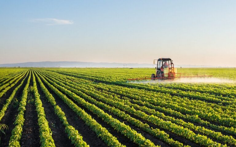 Groupe OCP : Un leader mondial en matière de sécurité alimentaire et de solutions agricoles durables