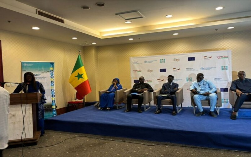 Journée nationale de l’huître : Célébration d’un trésor écologique et économique essentiel pour le Sénégal